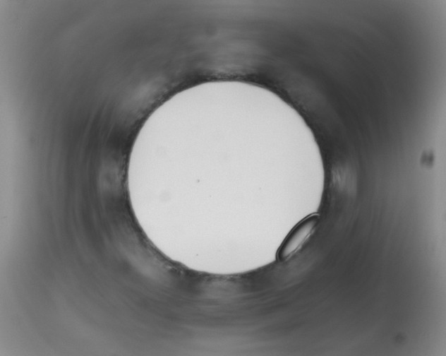 X0000113211300200910221053