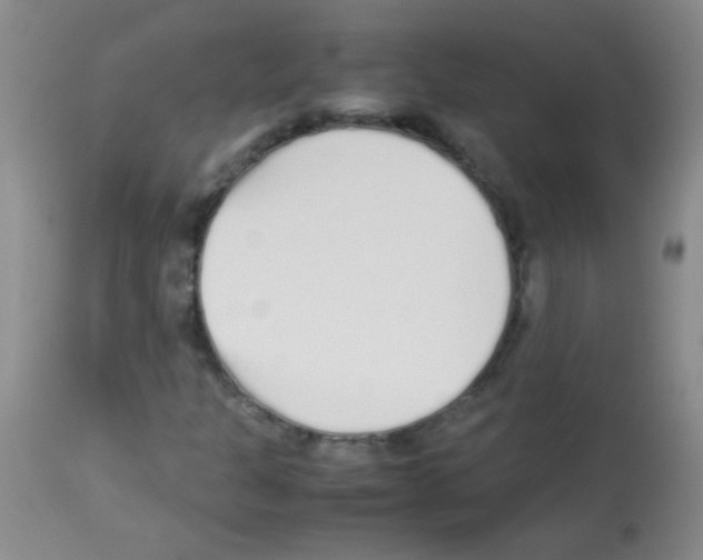 X0000113211301200910221053