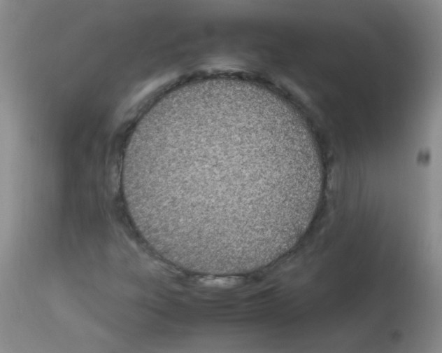 X0000113211303200910221053