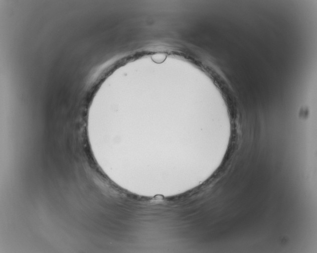 X0000113211304200910221053