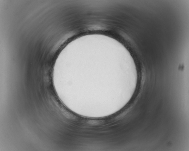 X0000113211305200910221053