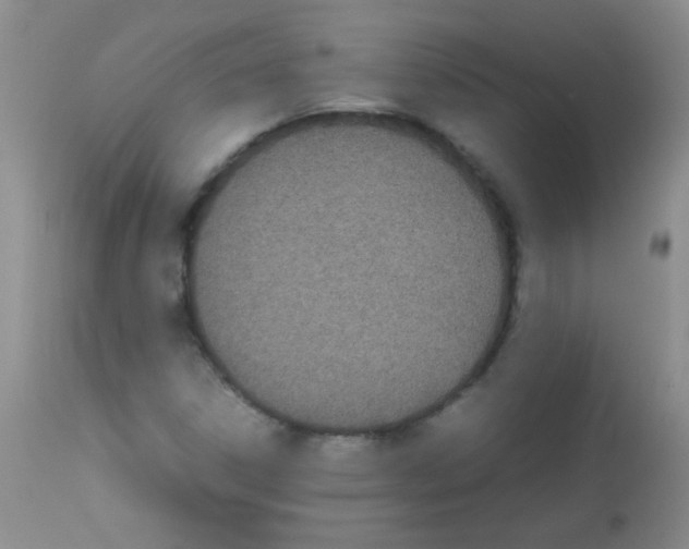 X0000113211306200910221053