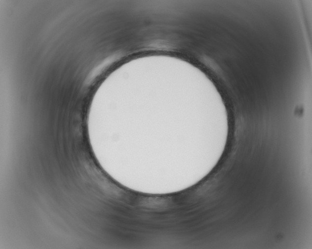 X0000113211307200910221053