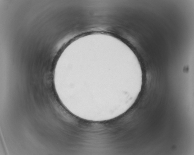 X0000113211308200910221053