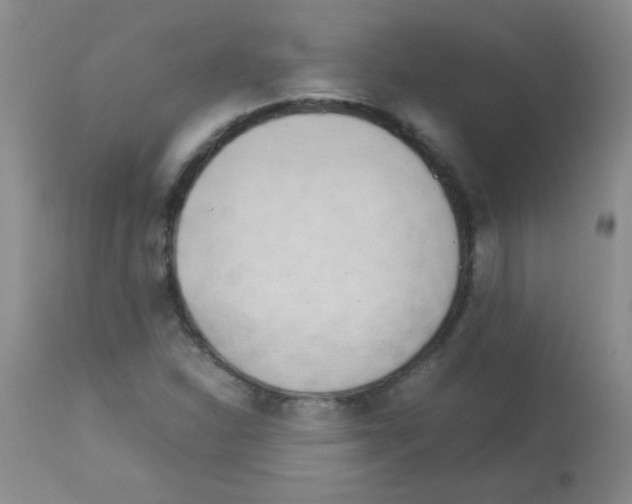 X0000113211310200910221053