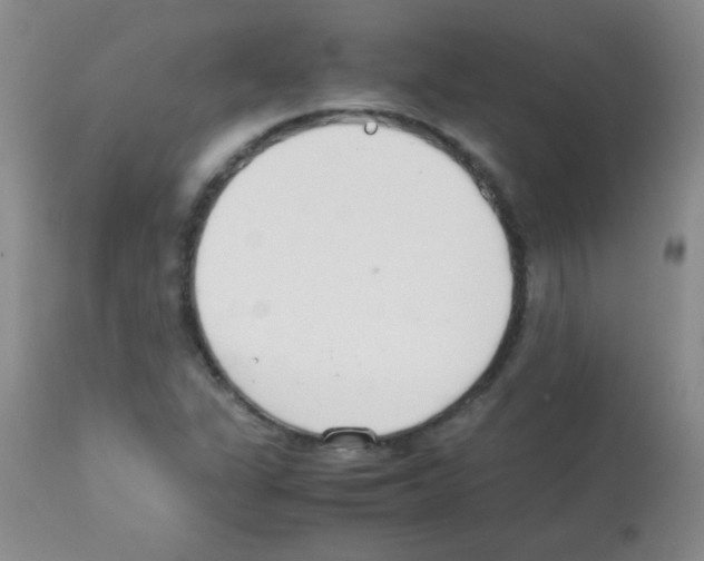 X0000113211311200910221053