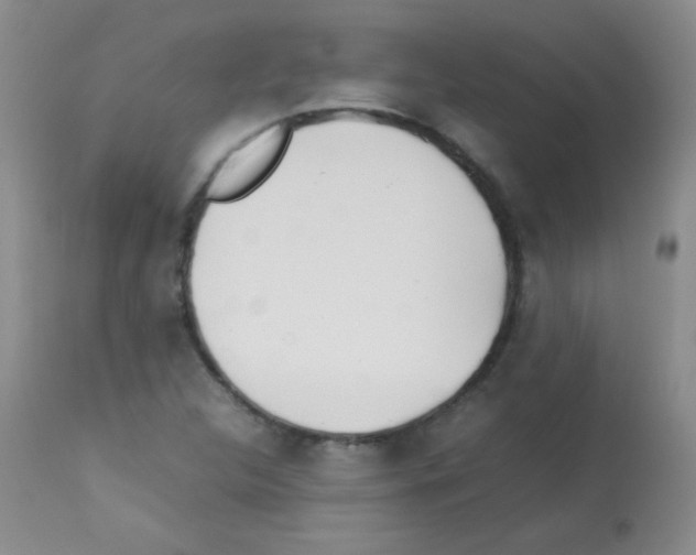 X0000113211312200910221053