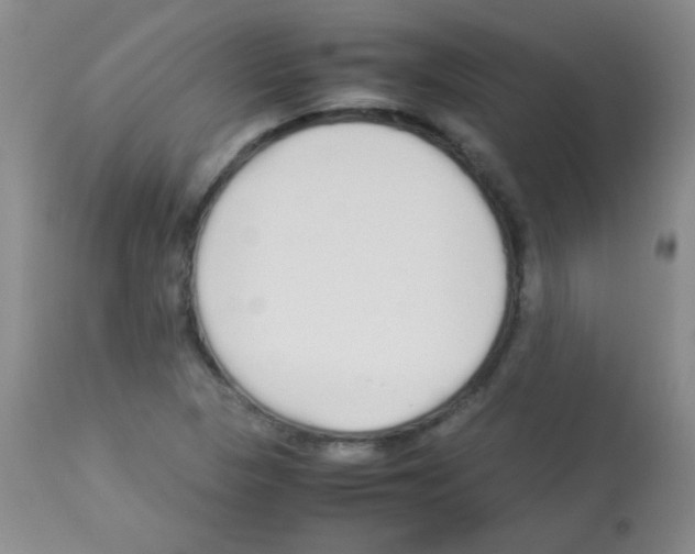 X0000113211313200910221054