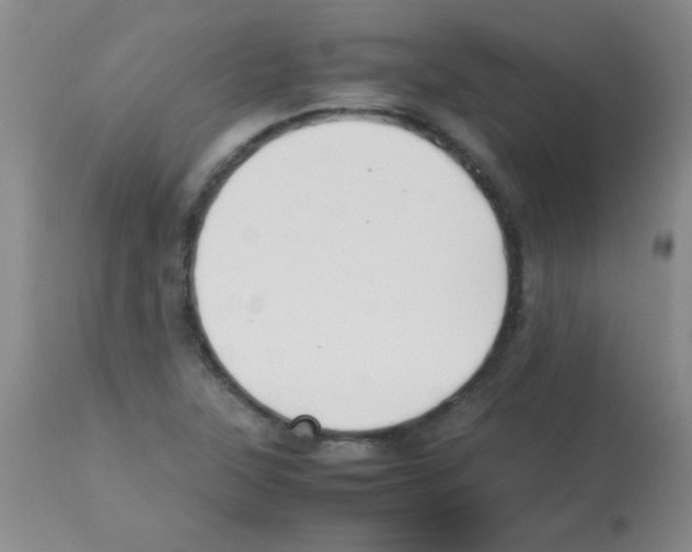 X0000113211315200910221054