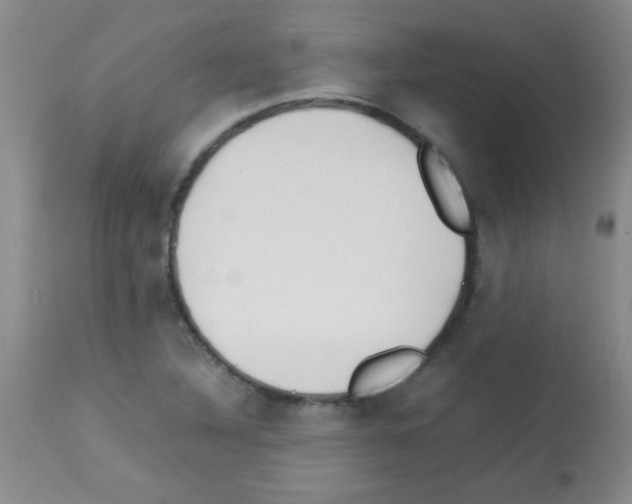 X0000113211316200910221054