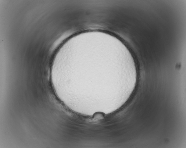 X0000113211317200910221054