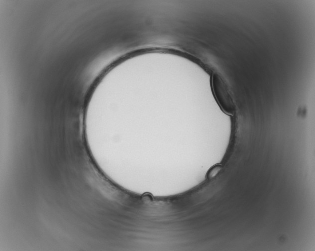 X0000113211320200910221054