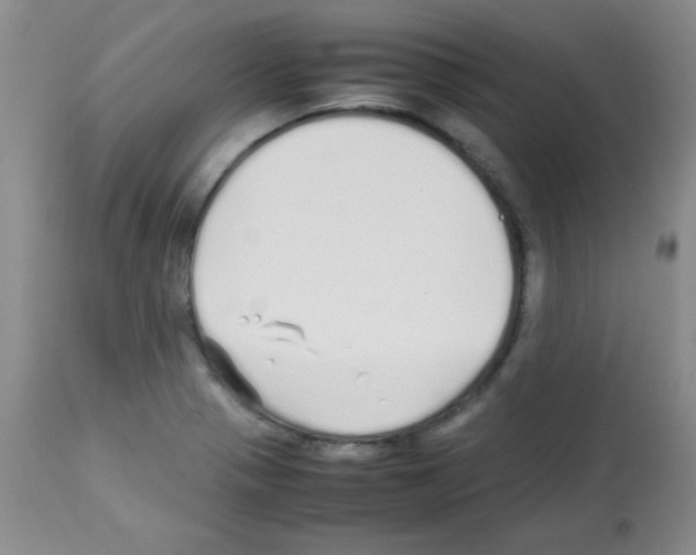 X0000113211321200910221054