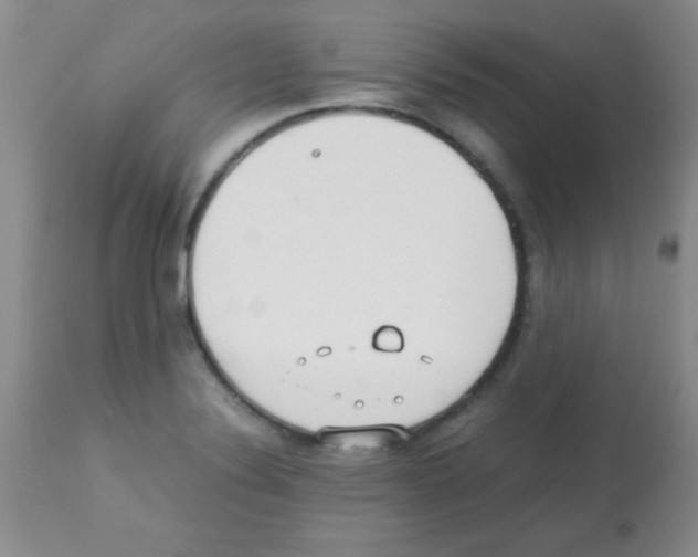 X0000113211324200910221054