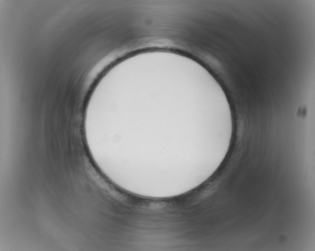 X0000113211326200910221054