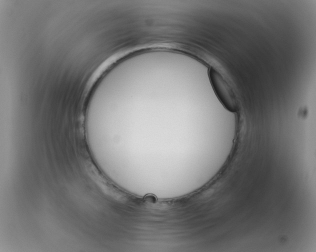 X0000113211332200910221054