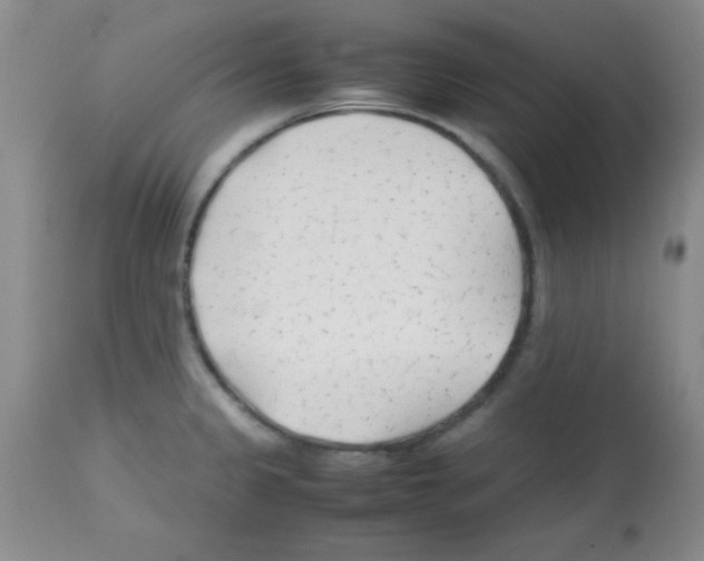 X0000113211333200910221054