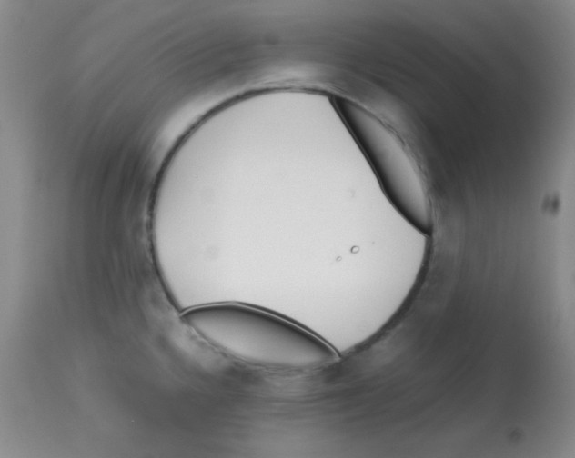 X0000113211336200910221054