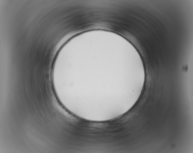 X0000113211339200910221054