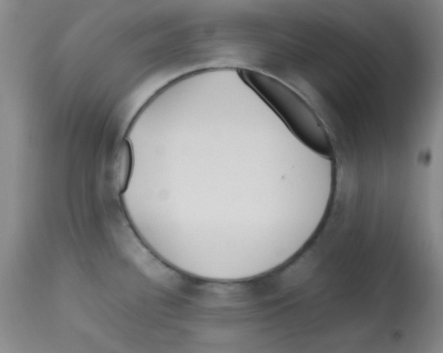 X0000113211340200910221054