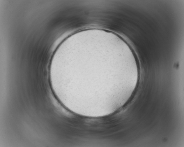 X0000113211341200910221054