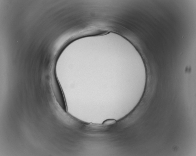 X0000113211344200910221054