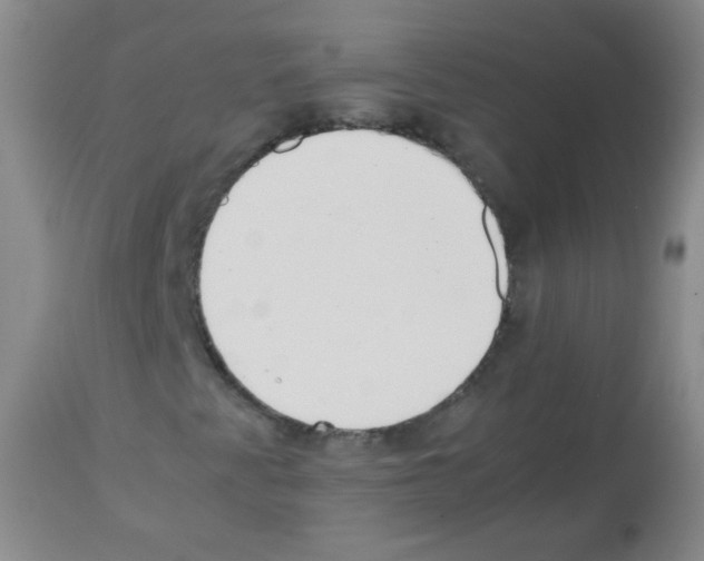 X0000113211345200910221053