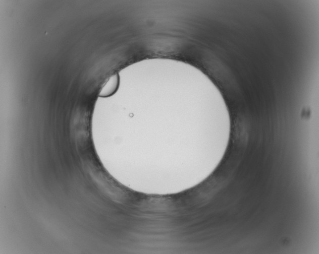 X0000113211346200910221053