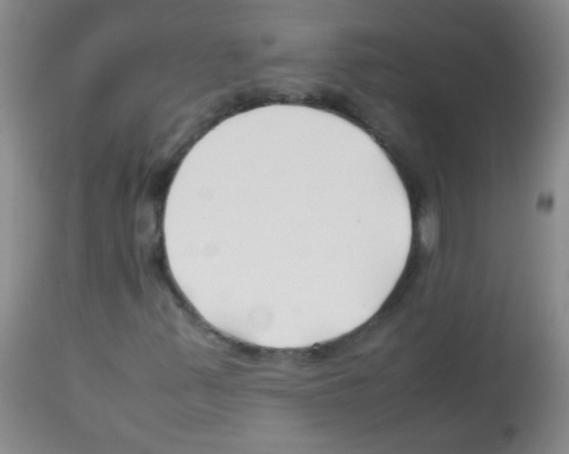 X0000113211347200910221053