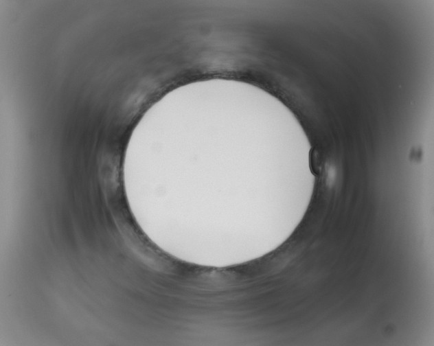 X0000113211348200910221053