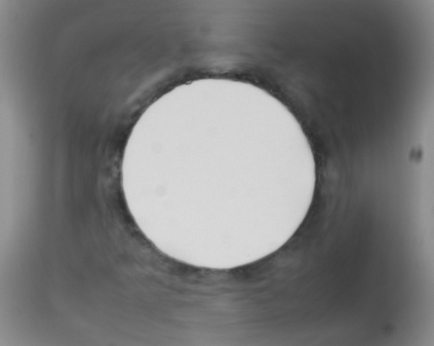 X0000113211349200910221053