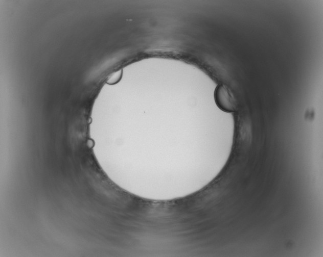 X0000113211350200910221053