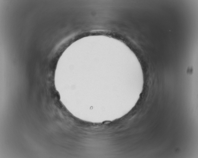 X0000113211351200910221053