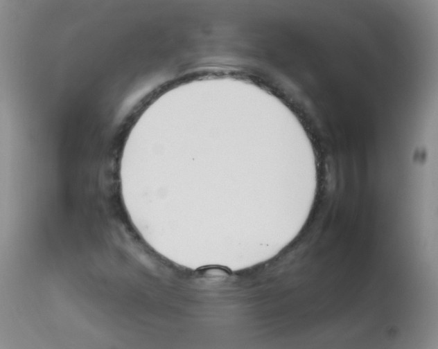 X0000113211352200910221053