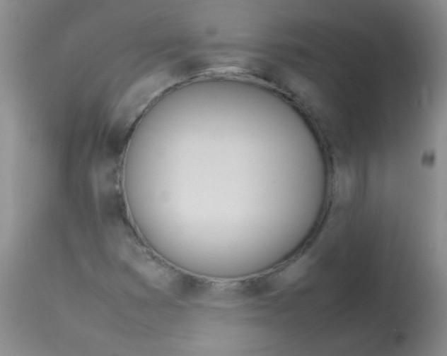 X0000113211353200910221053