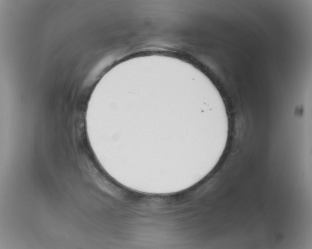 X0000113211355200910221053