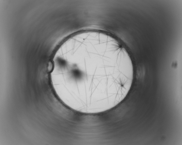 X0000113211356200910221053