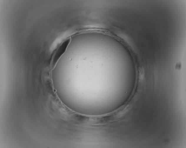 X0000113211357200910221053