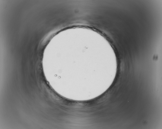 X0000113211359200910221053