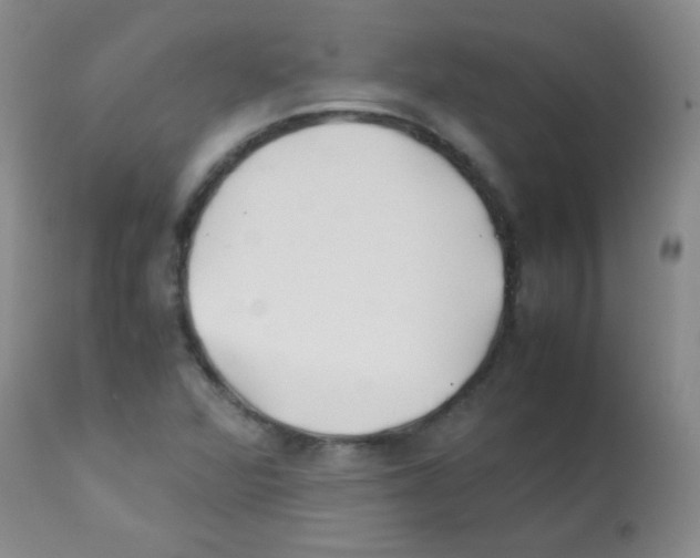 X0000113211360200910221053