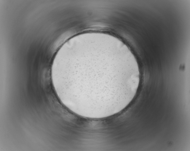 X0000113211362200910221053