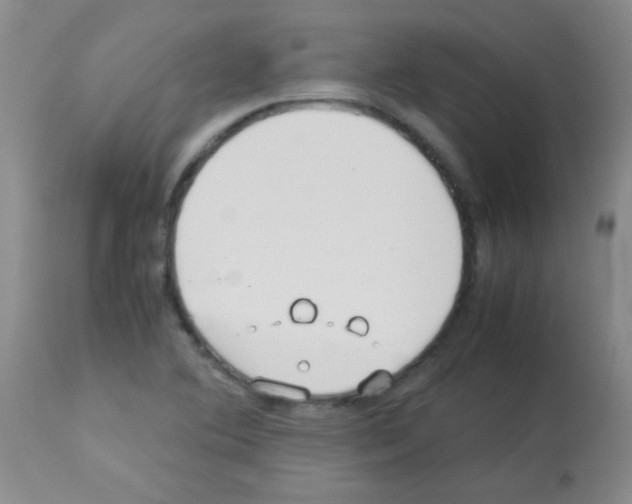 X0000113211364200910221053