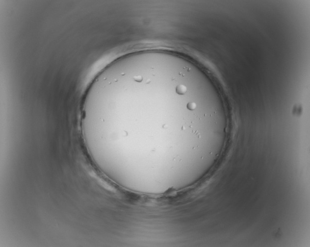 X0000113211365200910221053