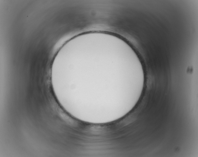 X0000113211366200910221053