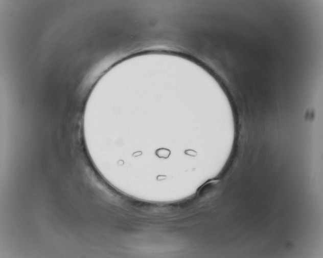 X0000113211367200910221053