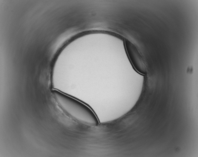 X0000113211368200910221053