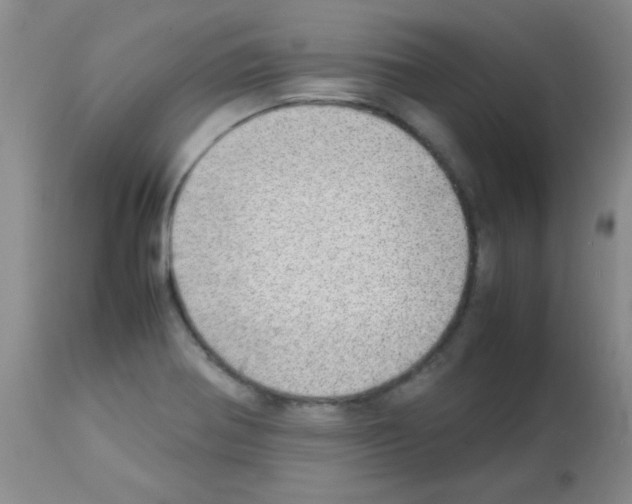 X0000113211370200910221053