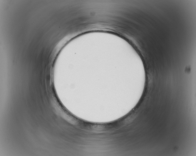 X0000113211371200910221053