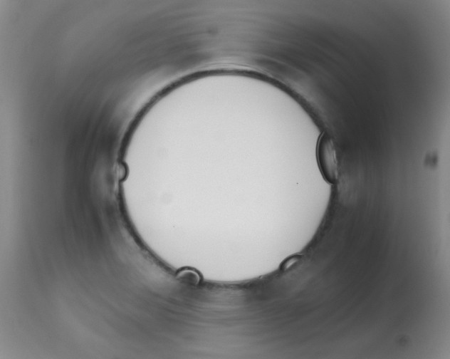 X0000113211372200910221053