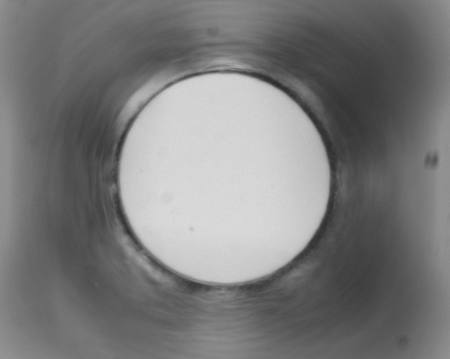 X0000113211373200910221053